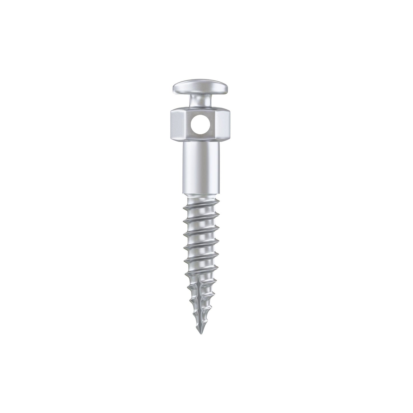 Orthodontic Miniscrew For Coil Spring Ø2.0mm