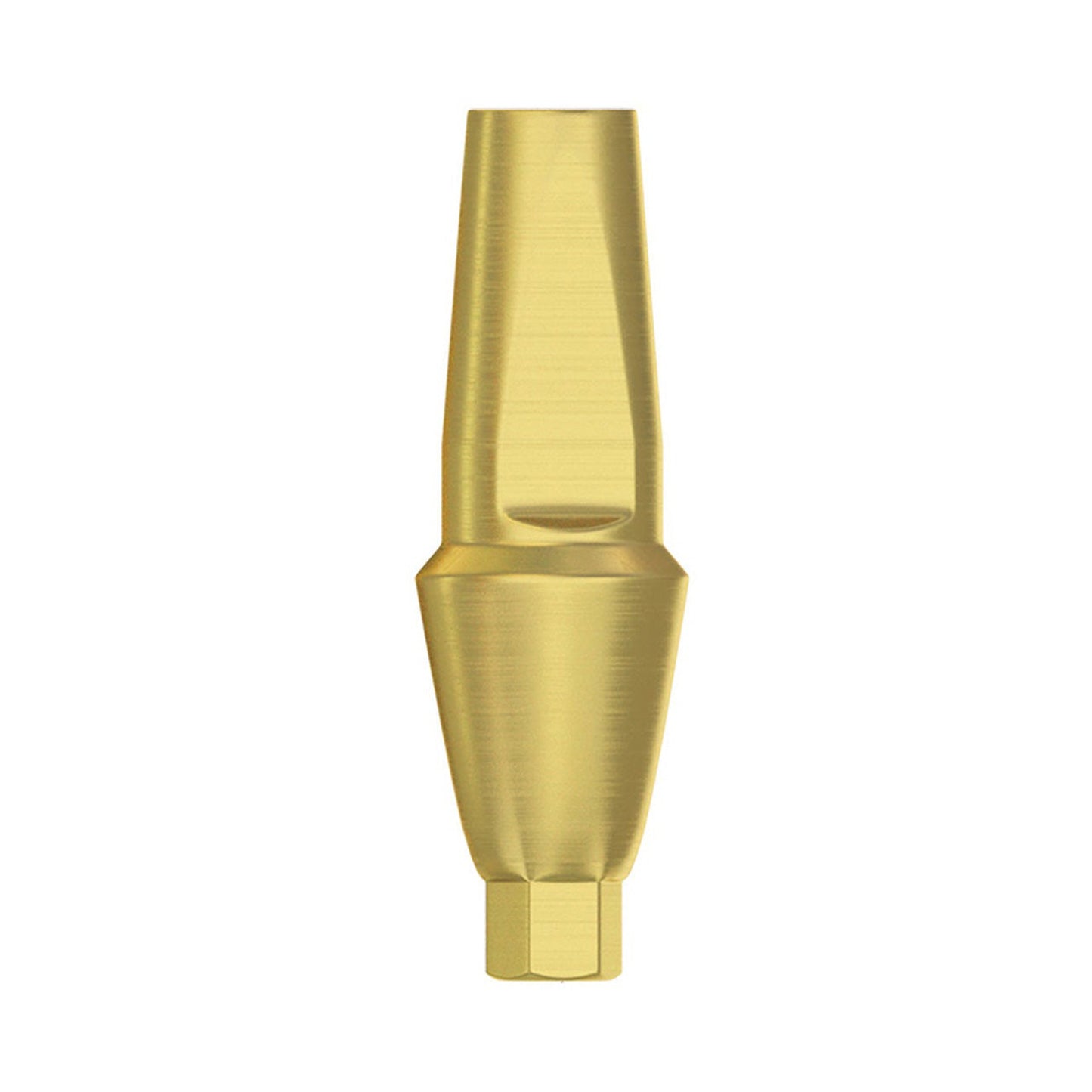 Anatomic Straight Abutment