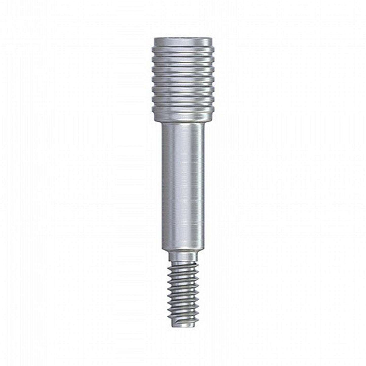 Transfer Screw