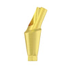 Angulated Anatomic Abutment 15°/25°