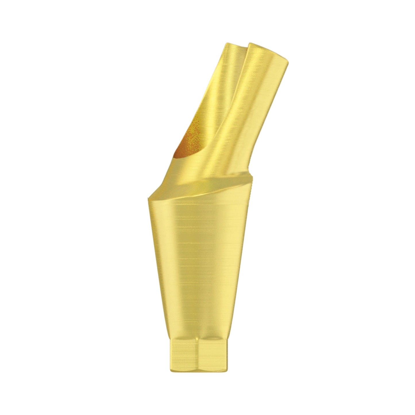 Angulated Anatomic Abutment 15°/25°