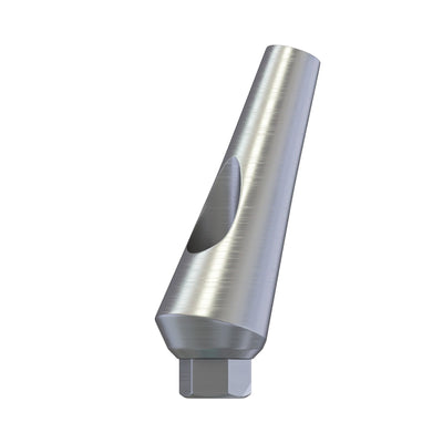 Angulated Regular Abutment 25°