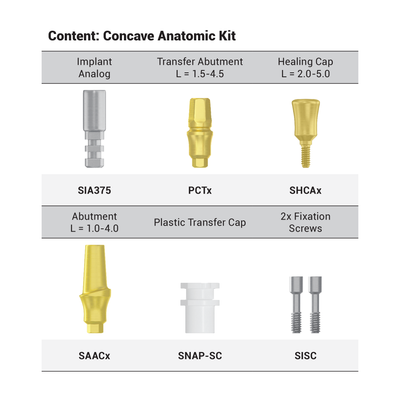 Prosthetic Kit Type C (Concave)