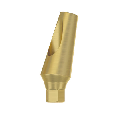 Angulated Regular Abutment 15°/25°