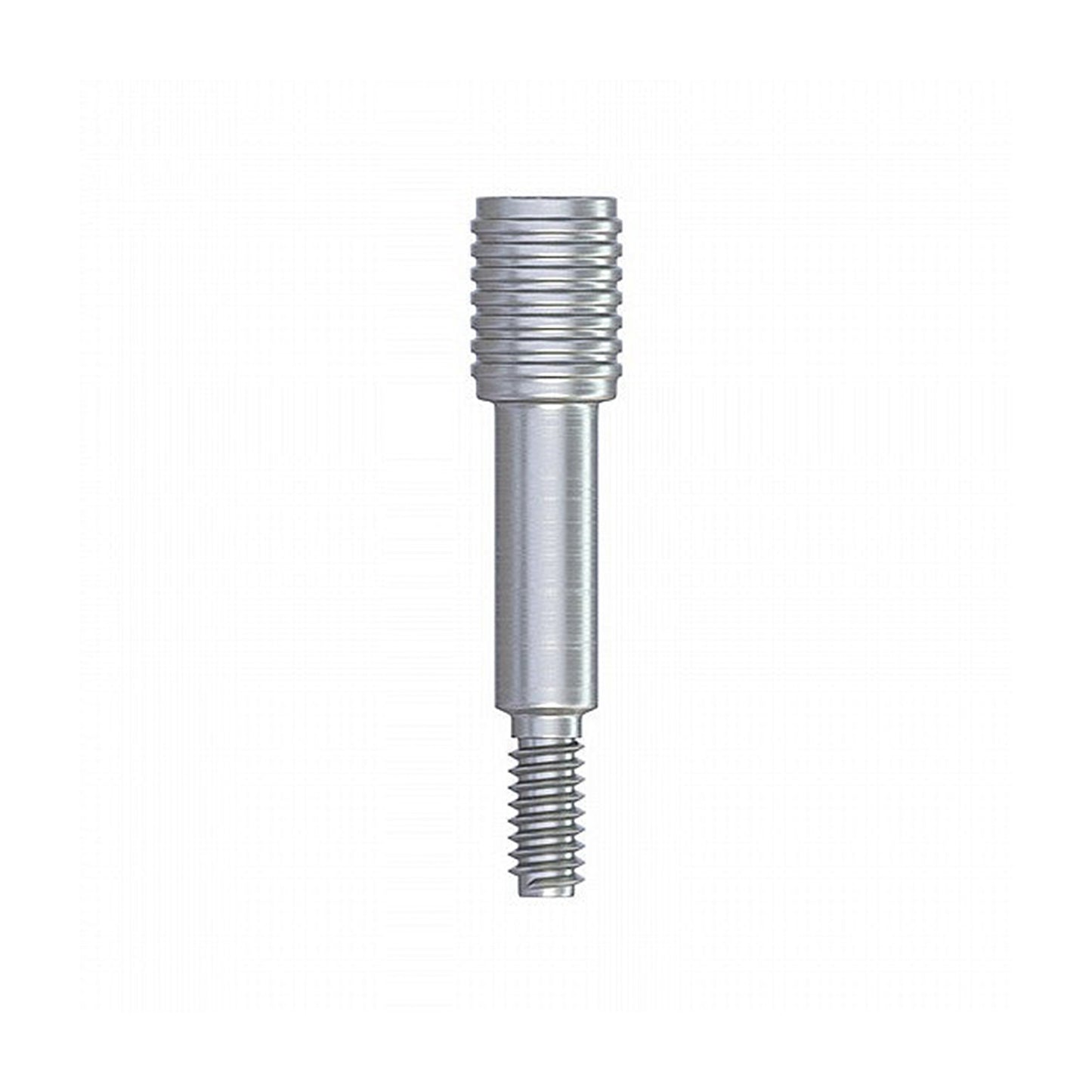 Transfer Screw