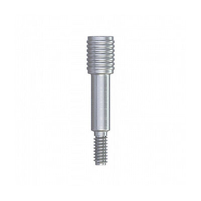 Transfer Screw