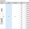 DSZygo Zygomatic Implant