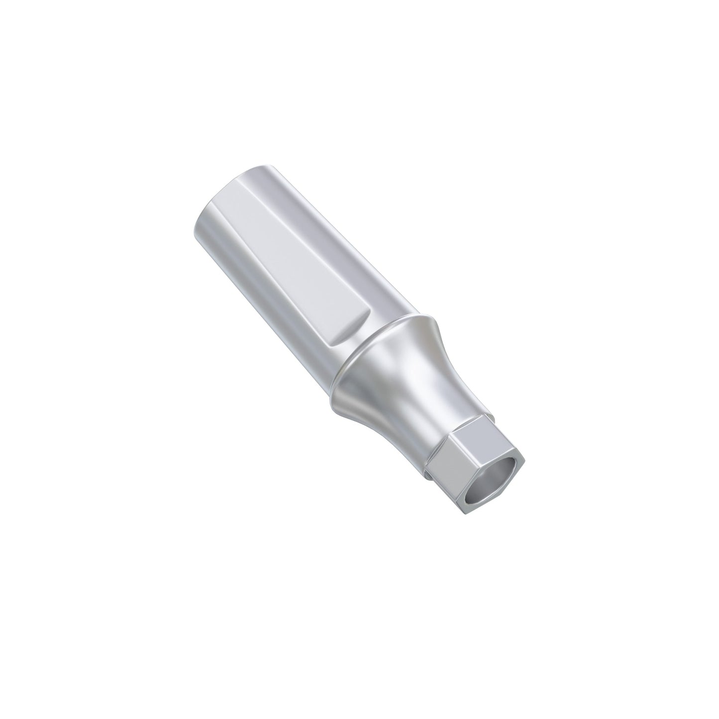 Straight Anatomic Abutment