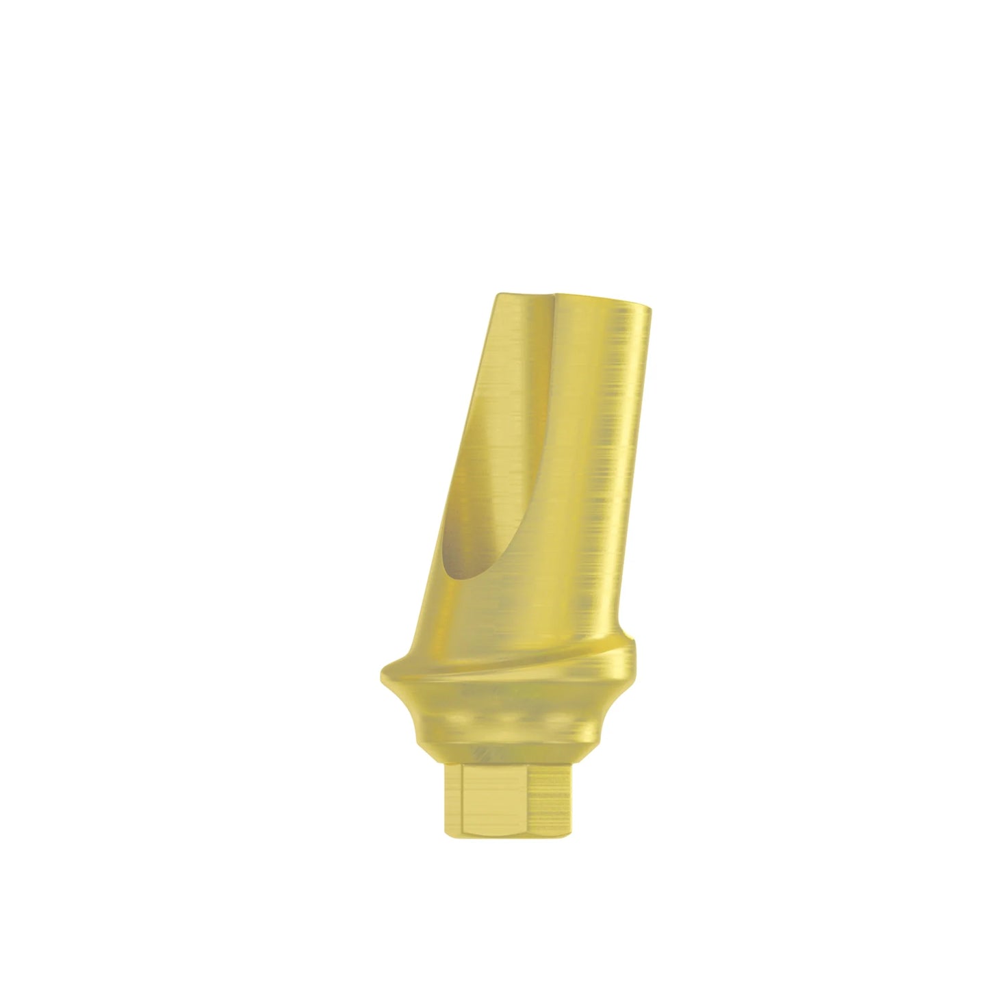 Angulated Concave Anatomic Abutment 25°