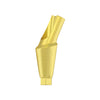 Angulated Anatomic Abutment 15°/25°