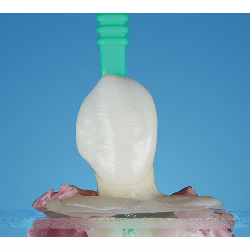 MIXPAC™ ZerofloX™ Original Micro Brushes Applicators 50/Pack